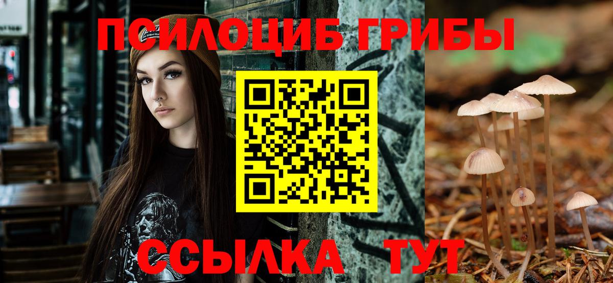как найти закладки  Псилоцибиновые грибы Magic Shrooms  Вход с VPN  Дзержинский 